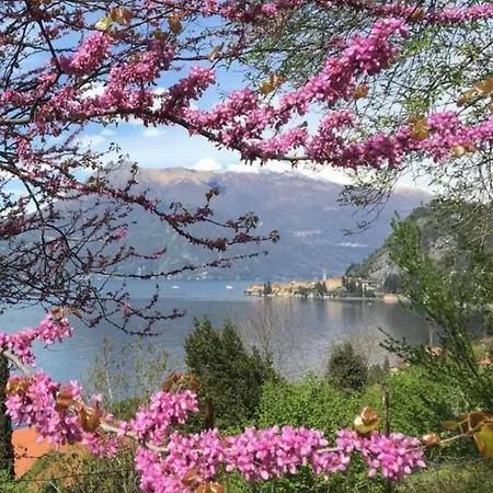 Vakantiehuis La Punta Di *